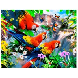 3D Live Life Pictures - Flight of the Macaw