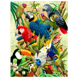 3D Live Life Pictures - Avian World